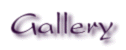 Gallery Nunobana